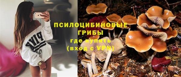 ALPHA PVP Киреевск