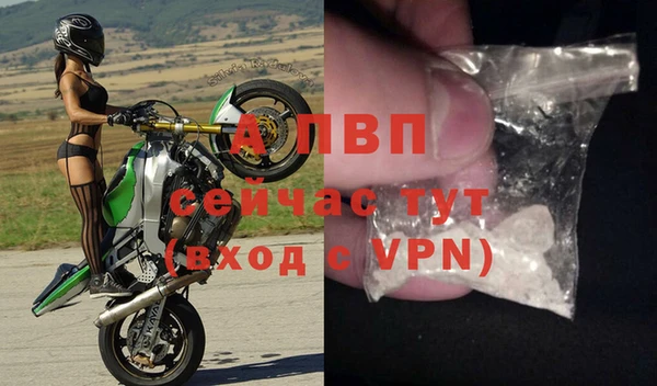 прущие крисы Киренск