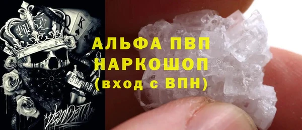 прущие крисы Киренск