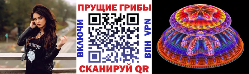 Купить  Борзя  Галлюциногенные грибы Psilocybine cubensis 